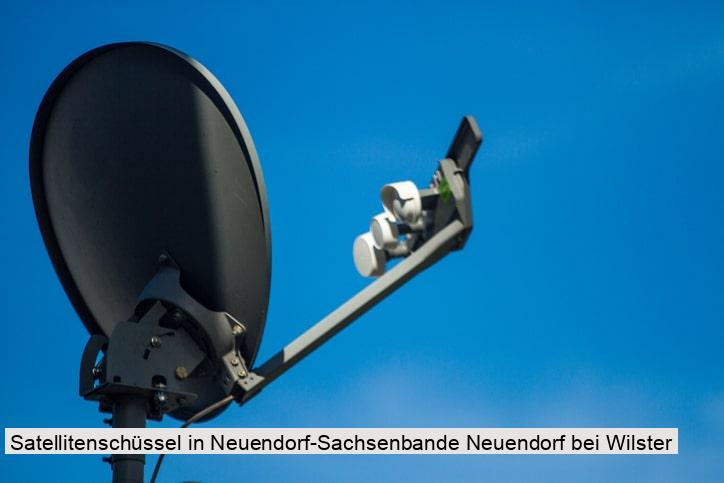 Satellitenschüssel in Neuendorf-Sachsenbande Neuendorf bei Wilster